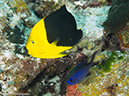 %_tempFileName2012-12-03_1_Planacar_Caves-29%