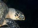 %_tempFileName2012-12-03_1_Planacar_Caves-5%