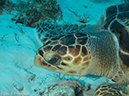 %_tempFileName2012-12-03_2_Paso_del_Cedral-13%