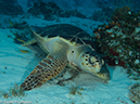 %_tempFileName2012-12-03_2_Paso_del_Cedral-15%
