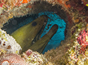 %_tempFileName2012-12-03_2_Paso_del_Cedral-19%