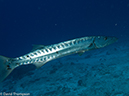 %_tempFileName2012-12-03_2_Paso_del_Cedral-25%