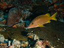 %_tempFileName2012-12-03_2_Paso_del_Cedral-26%