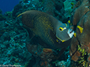 %_tempFileName2012-12-03_2_Paso_del_Cedral-27%