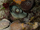 %_tempFileName2012-12-03_2_Paso_del_Cedral-32%