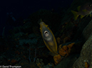 %_tempFileName2012-12-03_2_Paso_del_Cedral-34%