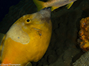 %_tempFileName2012-12-03_2_Paso_del_Cedral-35%