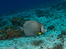 %_tempFileName2012-12-03_2_Paso_del_Cedral-37%