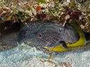 %_tempFileName2012-12-04_2_Punta_Tunish_Wall-17%