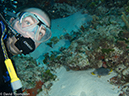 %_tempFileName2012-12-04_2_Punta_Tunish_Wall-39%