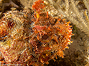 %_tempFileName2012-12-04_2_Punta_Tunish_Wall-57%