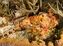 %_tempFileName2012-12-04_2_Punta_Tunish_Wall-59%