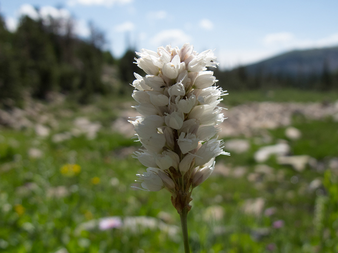 %_tempFileName2013-08-14_estes_Park_Deer_Lake-50%