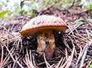 %_tempFileName2013-08-16_Lumpy_Ridge_loop-10%