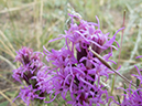 %_tempFileName2013-08-16_Lumpy_Ridge_loop-14%