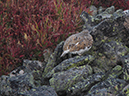 %_tempFileName2013-09-04_Desolation_Peaks-10%