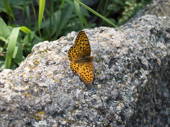 %_tempFileName2013-07-08_1_Estes_Park_Gem_Lake-1%