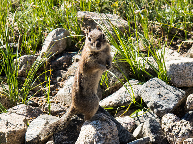 %_tempFileName2013-07-09_1_Estes_Park_Chasm_Lake-9%