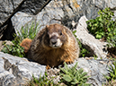 %_tempFileName2013-07-09_1_Estes_Park_Chasm_Lake-35%