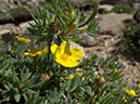 %_tempFileName2013-07-09_1_Estes_Park_Chasm_Lake-70%