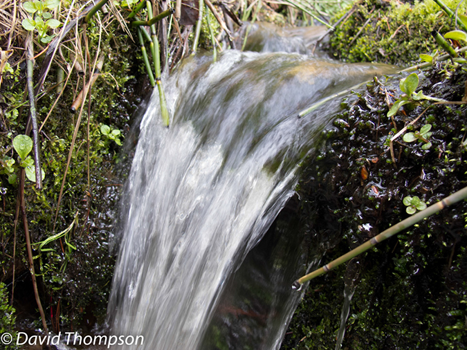 %_tempFileName2013-06-01_1_Ouzel_Lake-1%