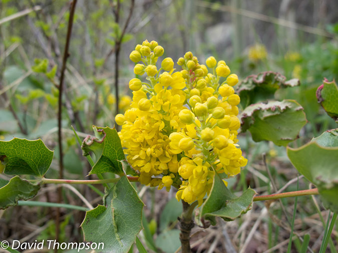 %_tempFileName2013-06-01_1_Ouzel_Lake-3%