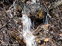 %_tempFileName2013-06-05_Fern_Lake_Trail-18%