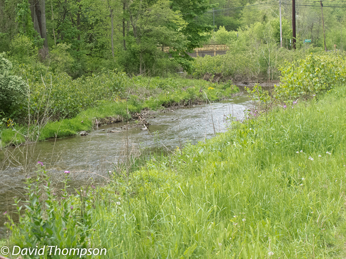 %_tempFileName2013-05-14_Montour_Trail_Pittsburgh_to_Mifflin-13%