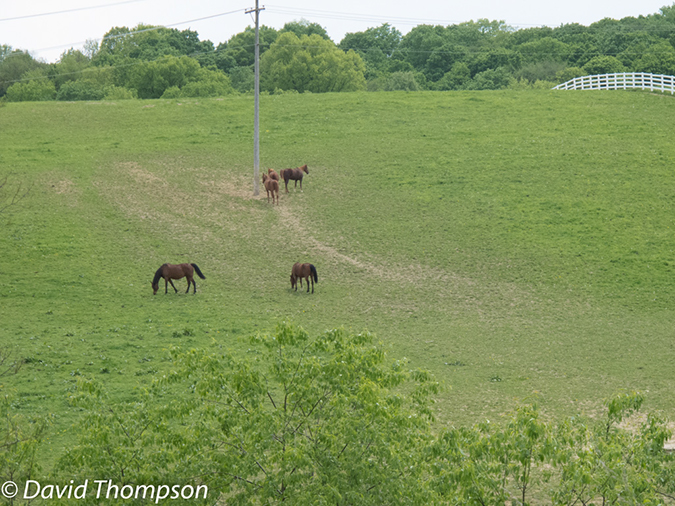 %_tempFileName2013-05-14_Montour_Trail_Pittsburgh_to_Mifflin-41%