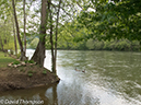 %_tempFileName2013-05-15_GAP_McKeesport_to_Ohiopyle-36%