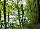 %_tempFileName2013-05-15_GAP_McKeesport_to_Ohiopyle-58%