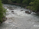 %_tempFileName2013-05-15_GAP_McKeesport_to_Ohiopyle-68%