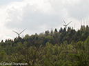 %_tempFileName2013-05-16_GAP_Ohiopyle_to_Cumberland-36%