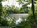 %_tempFileName2013-05-17_CO_Towpath_Cumberland_to_Hancock-10%