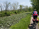 %_tempFileName2013-05-17_CO_Towpath_Cumberland_to_Hancock-38%