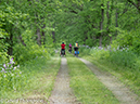 %_tempFileName2013-05-17_CO_Towpath_Cumberland_to_Hancock-62%