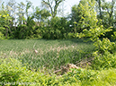 %_tempFileName2013-05-17_CO_Towpath_Cumberland_to_Hancock-9%