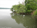 %_tempFileName2013-05-19_CO_Towpath_Harpers_Ferry_to_Georgetown-26%