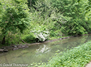 %_tempFileName2013-05-19_CO_Towpath_Harpers_Ferry_to_Georgetown-28%