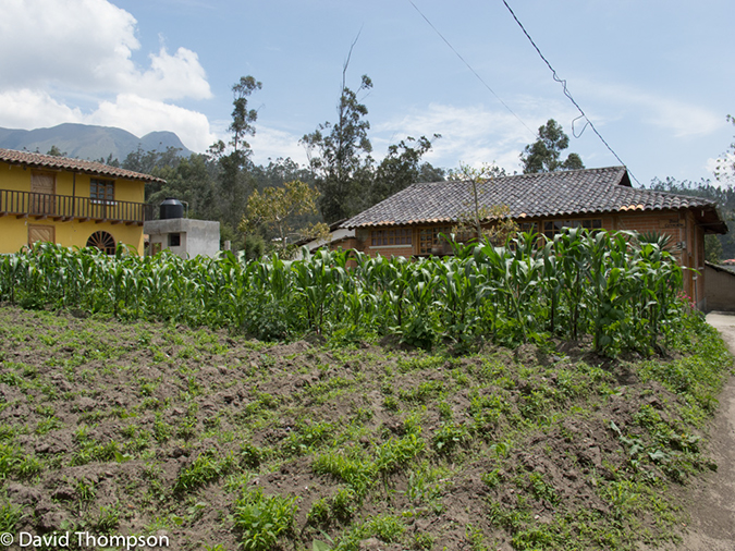 %_tempFileName2013-11-07_01_Otavalo%20Marketplace_Tour-9%