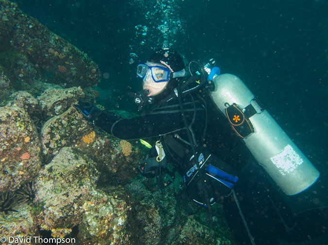 %_tempFileName2013-11-10_01_Isabela_Island_Marshall_Cape-15%