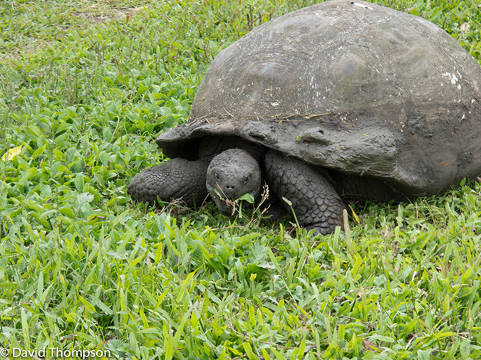 %_tempFileName2013-11-15_03_Santa_Cruz_Island-13%