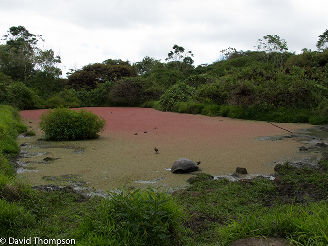 %_tempFileName2013-11-15_03_Santa_Cruz_Island-17%