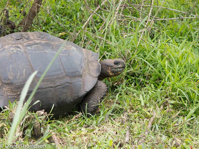 %_tempFileName2013-11-15_03_Santa_Cruz_Island-24%