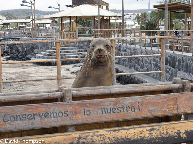 %_tempFileName2013-11-16_01_San_Cristobal_Island-19%