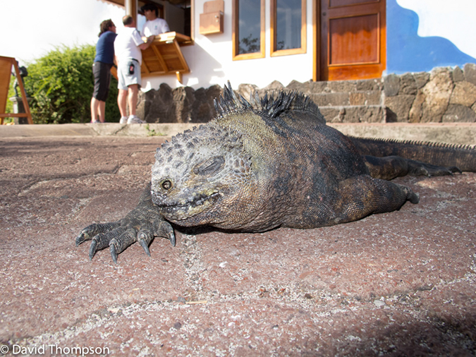 %_tempFileName2013-11-16_01_San_Cristobal_Island-4%