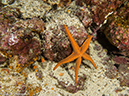 %_tempFileName2013-11-10_01_Isabela_Island_Marshall_Cape-1%