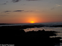 %_tempFileName2013-11-14_06_Baltra_Island-36%