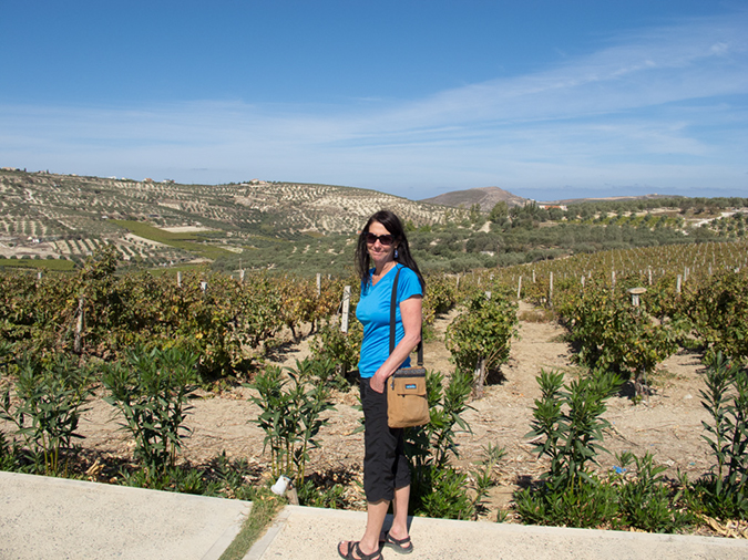 %_tempFileName2013-10-08_3_Crete_Wine_Country-1%