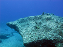 2011-10-06 Blue Hole Guam (26)